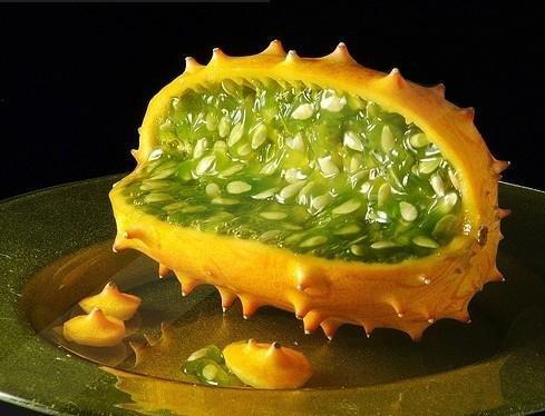 常吃角瓜容易得癌吗视频,真相与误区解析