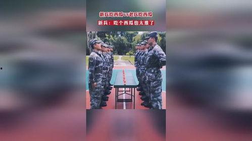 新兵老兵吃瓜视频播放全集,全集视频带你领略军营生活百态