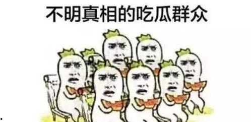 吃瓜群众玫瑰视频下载,热门下载教程大公开