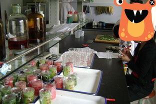 河美吃瓜事件生活馆视频,生活馆视频揭秘幕后真相