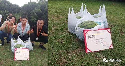 吃瓜大赛冠军视频