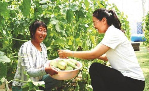 花田瓜怎么吃最好吃视频,视频揭秘最佳食用方法