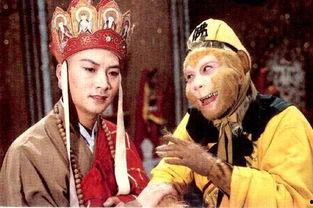 小五唐僧吃哈密瓜视频,甜蜜滋味引众人围观